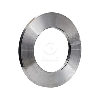 Austenitic ASTM 301 304 316 Cold Rolled BA Surface Spring Stainless Steel Strips