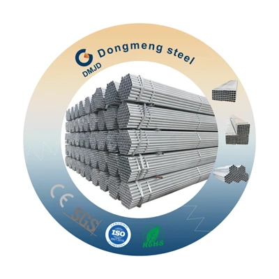 Teem sijhawm 40 Galvanized Steel Yeeb Nkab